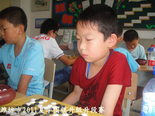 标题：潍坊市2011夏季围棋升级升段赛　 阅读次数：527