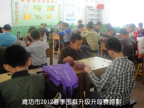 标题：潍坊市2012春季围棋升级升段赛掠影 阅读次数：229