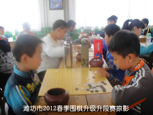 标题：潍坊市2012春季围棋升级升段赛掠影 阅读次数：232