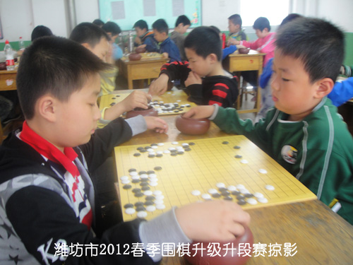 标题：潍坊市2012春季围棋升级升段赛掠影 阅读次数：473
