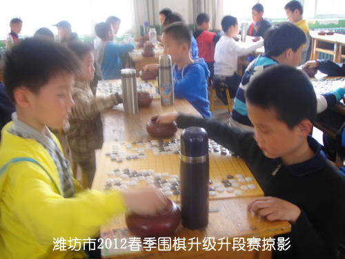 标题：潍坊市2012春季围棋升级升段赛掠影 阅读次数：405