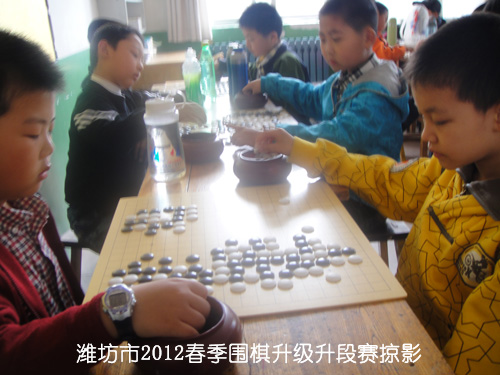标题：潍坊市2012春季围棋升级升段赛掠影 阅读次数：477