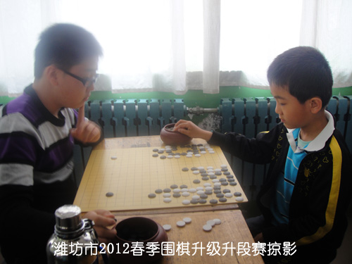 标题：潍坊市2012春季围棋升级升段赛掠影 阅读次数：414