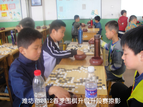 标题：潍坊市2012春季围棋升级升段赛掠影 阅读次数：479