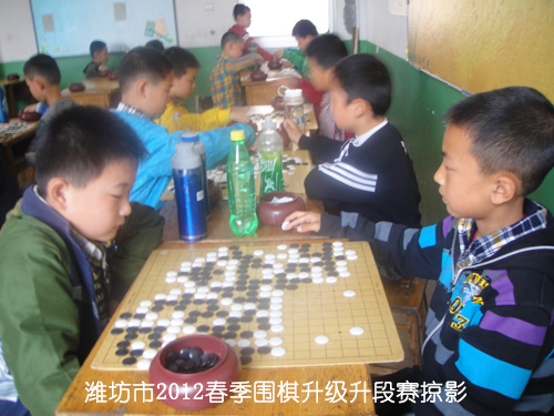 标题：潍坊市2012春季围棋升级升段赛掠影 阅读次数：404