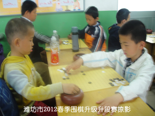 标题：潍坊市2012春季围棋升级升段赛掠影 阅读次数：470