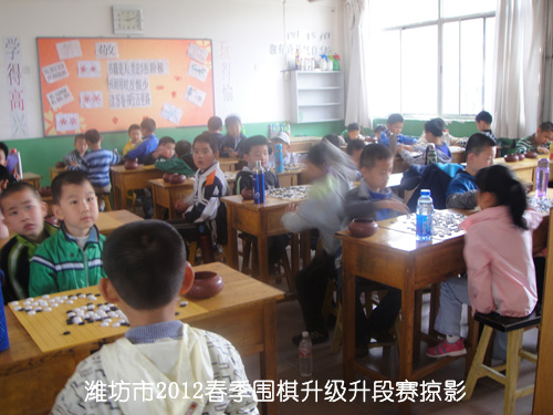 标题：潍坊市2012春季围棋升级升段赛掠影 阅读次数：626