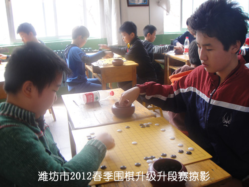 标题：潍坊市2012春季围棋升级升段赛掠影 阅读次数：1376