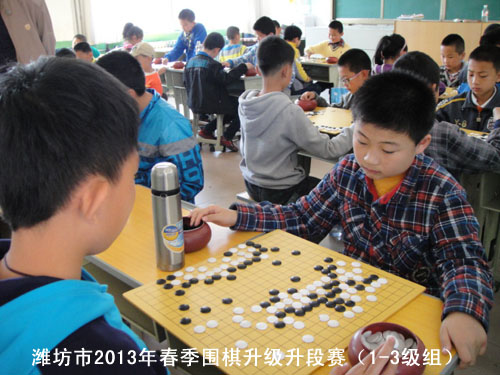 标题：潍坊市2013年春季围棋升级升段赛（1-3级组） 阅读次数：1013