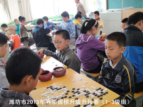 标题：潍坊市2013年春季围棋升级升段赛（1-3级组） 阅读次数：928
