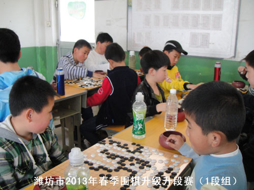 标题：潍坊市2013年春季围棋升级升段赛（1段组） 阅读次数：1056