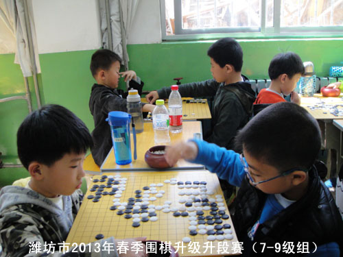 标题：潍坊市2013年春季围棋升级升段赛（7-9级组） 阅读次数：1002