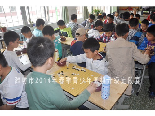 标题：潍坊市2014年春季青少年围棋升级定段赛 阅读次数：1046