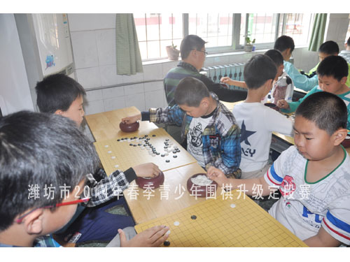 标题：潍坊市2014年春季青少年围棋升级定段赛 阅读次数：863