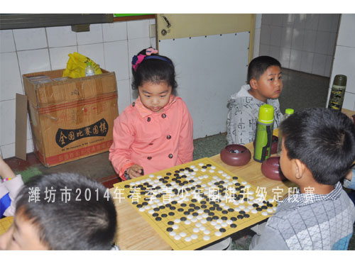 标题：潍坊市2014年春季青少年围棋升级定段赛 阅读次数：894