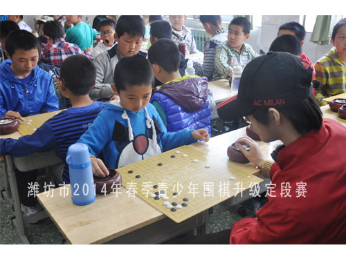 标题：潍坊市2014年春季青少年围棋升级定段赛 阅读次数：1056