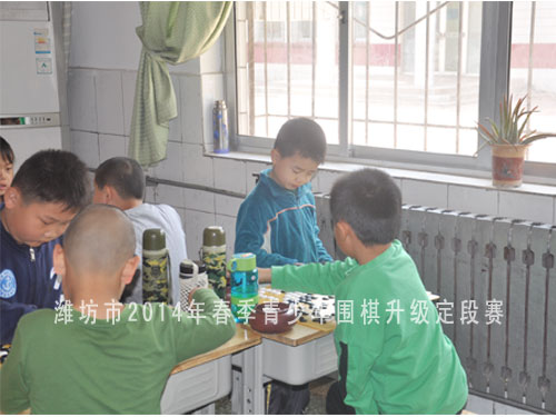 标题：潍坊市2014年春季青少年围棋升级定段赛 阅读次数：744