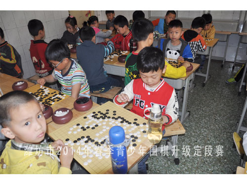 标题：潍坊市2014年春季青少年围棋升级定段赛 阅读次数：786