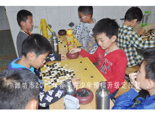 标题：潍坊市2014年春季青少年围棋升级定段赛 阅读次数：763