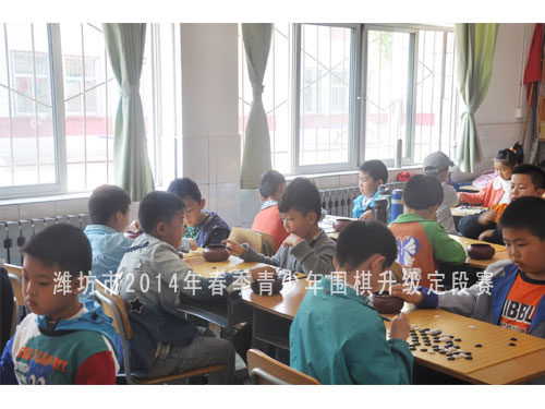 标题：潍坊市2014年春季青少年围棋升级定段赛 阅读次数：869