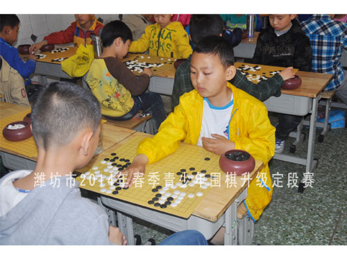 标题：潍坊市2014年春季青少年围棋升级定段赛 阅读次数：885