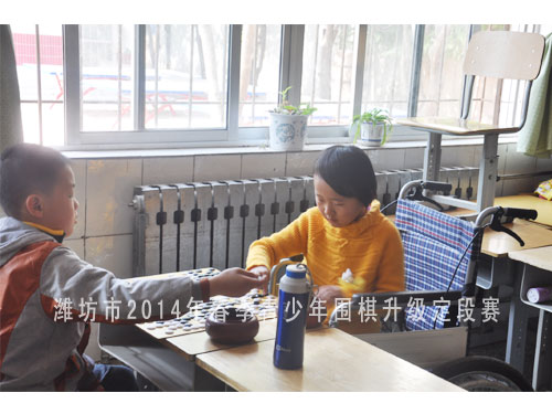 标题：潍坊市2014年春季青少年围棋升级定段赛 阅读次数：1568