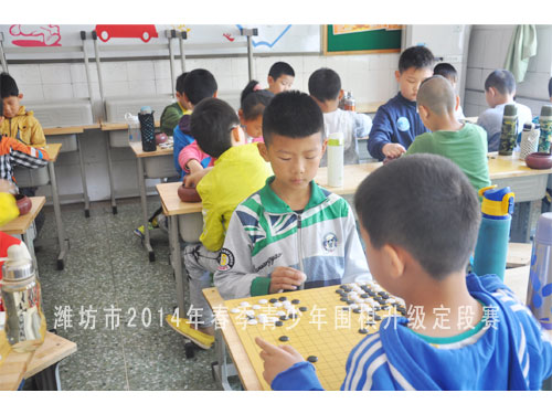 标题：潍坊市2014年春季青少年围棋升级定段赛 阅读次数：1426