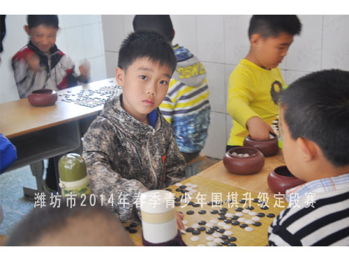 标题：潍坊市2014年春季青少年围棋升级定段赛 阅读次数：1175