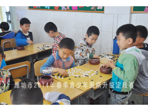 标题：潍坊市2014年春季青少年围棋升级定段赛 阅读次数：1259