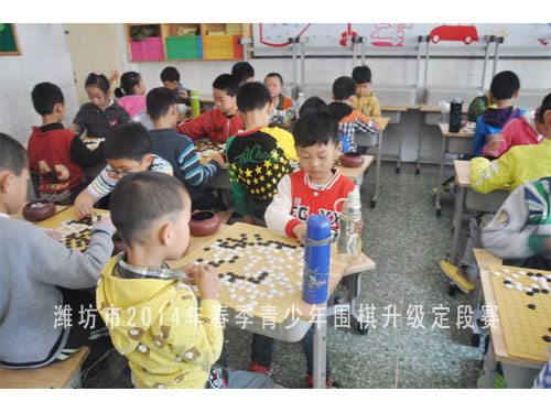 标题：潍坊市2014年春季青少年围棋升级定段赛 阅读次数：1370