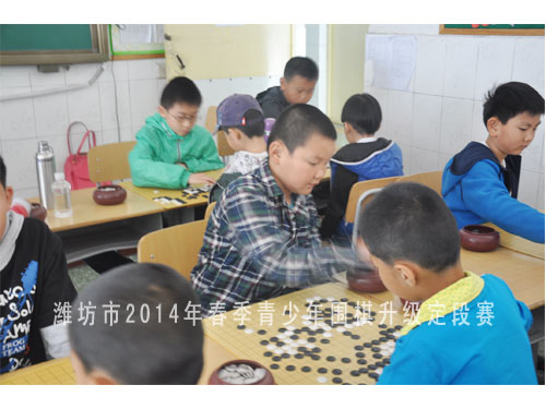 标题：潍坊市2014年春季青少年围棋升级定段赛 阅读次数：1488