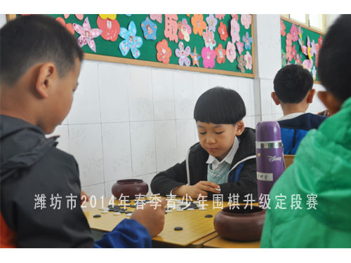 标题：潍坊市2014年春季青少年围棋升级定段赛 阅读次数：1254
