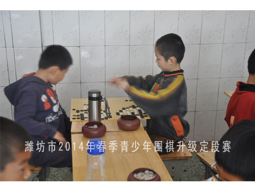 标题：潍坊市2014年春季青少年围棋升级定段赛  阅读次数：1517