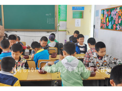 标题：潍坊市2014年春季青少年围棋升级定段赛 阅读次数：1362