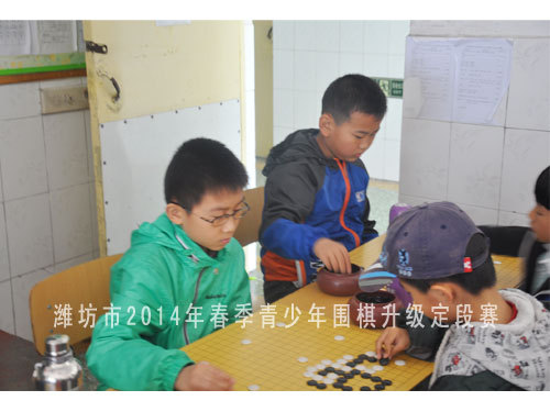 标题：潍坊市2014年春季青少年围棋升级定段赛 阅读次数：1291