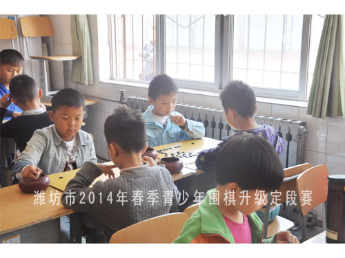 标题：潍坊市2014年春季青少年围棋升级定段赛 阅读次数：1469