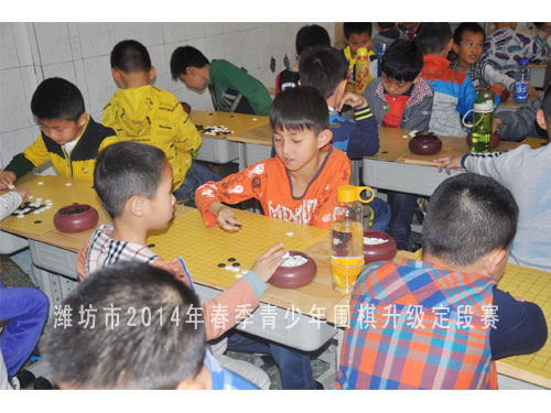 标题：潍坊市2014年春季青少年围棋升级定段赛 阅读次数：1187