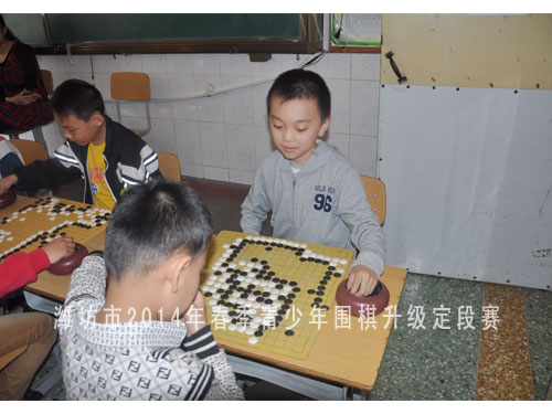 标题：潍坊市2014年春季青少年围棋升级定段赛 阅读次数：1244
