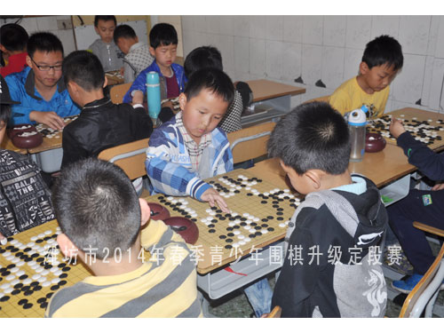 标题：潍坊市2014年春季青少年围棋升级定段赛 阅读次数：1617