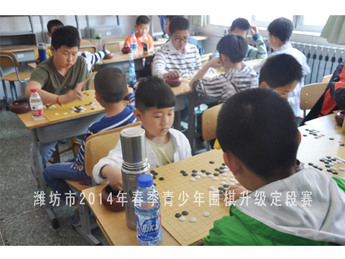 标题：潍坊市2014年春季青少年围棋升级定段赛 阅读次数：1656