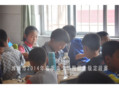 标题：潍坊市2014年春季青少年围棋升级定段赛 阅读次数：1652