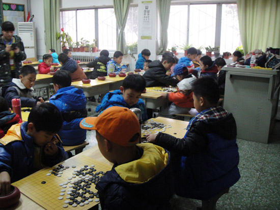 标题：2016元旦潍坊市围棋升级升段赛  阅读次数：3291